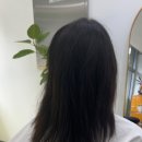유월미장원