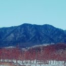 교현안림동사무소 이미지