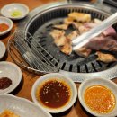 고반식당 선릉점 티스토리