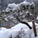 계곡산장 이미지