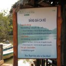 베트남 맹그로브(mangrove)를 다녀와서 이미지