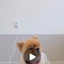 도근도근 이미지
