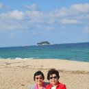 바다정원 이미지