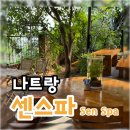 CAR샵 | 나트랑 고급스러운 분위기 마사지샵 추천 “센스파” 후기, 픽업, 샌딩 장소