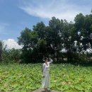 우리투어 | 나트랑패키지여행 노쇼핑 노옵션 우리끼리 단독투어 다녀온 후기!