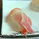 수초밥 티스토리
