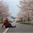 보성강7 이미지