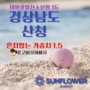 하니 태양광발전소 이미지