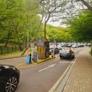 김포시청-장릉입구 | 김포장릉 가려다가 경기둘레길로 노선변경한 후기