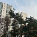 청솔마을.주공9단지.동아아파트 이미지