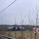 성덕애견 이미지