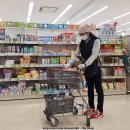 세이마트 | 일본 이온몰 마트 쇼핑리스트 장보기 / 도쿄 근교 여행