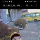 옥토유치원 이미지