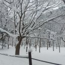 명동산장펜션 이미지