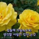 아카데미 文化