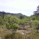 고산농장 이미지