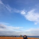 목장풍경민박 이미지