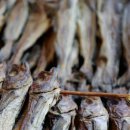 광역시도70-4L 이미지