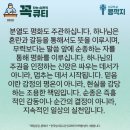 콩깍지 이미지