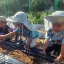 진영장등초등학교 이미지