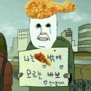 강릉애견하우스 이미지