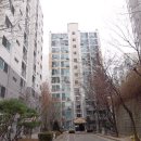 수원-매산-241 Daum카페