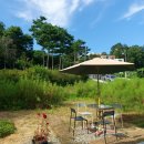 비석공원길 이미지