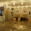 펫 포포즈 이미지