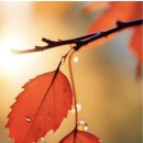 한결같음은.. 바른 인성의 지표 이미지