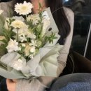 일상수집가 이미지