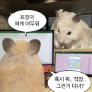 국립수산물품질관리원