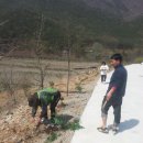 그린팜스테이 이미지