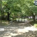 더 펫 플레이스 네이버블로그