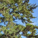 돈탁마을입구 이미지