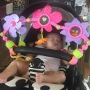 Lovely아지 이미지