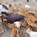 노현마을 이미지