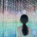 까꼬뽀꼬 이미지