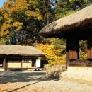 김유정사랑방 이미지