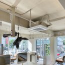 서울미용실 이미지