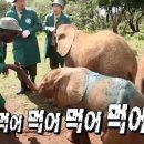 명성순대국밥 이미지