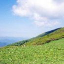 곰배령마루 이미지