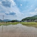 의령 안준상 고택 | 의령 안호상 고택(宜寧 安浩相 古宅)