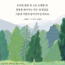 라나엄마