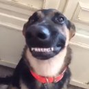 주식회사 전진 | 30 페스티벌 - Final Stage with 크라잉넛 / 오이스터즈 / 스킵잭 / 크랙샷 상상마당 라이브홀 콘서트 후기