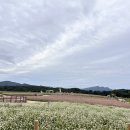 냉정 낚시터 | 철원맛집 오대오리 고석정 꽃밭 길 축제 포천낚시글램핑 1박2일 코스