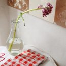 낙타(NAKTA) 이미지