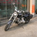 데이스타 이미지