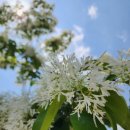 창원농약사 이미지