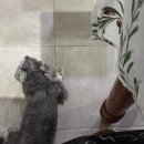 2024 온마을 플리마켓 오후팀(2시~4시) | [in Gympie] 인덕션, 풀타임 그리고 차량구매 / D+40~64