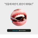 하얀나무치과의원 네이버블로그